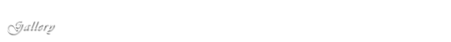 갤러리
